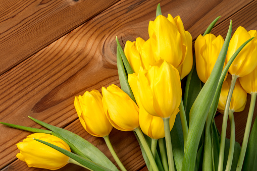 A DSLR photo of beautiful yellow tulips on a wooden background. Space for copy.