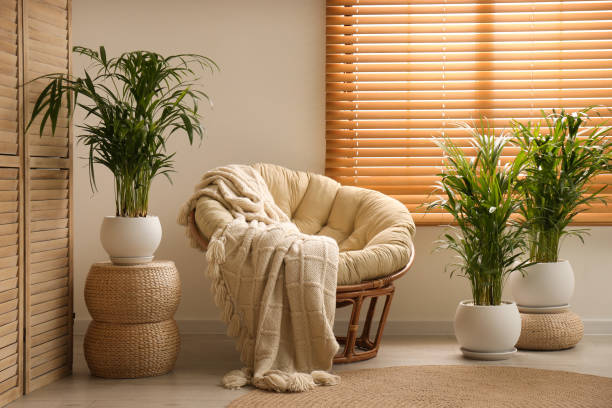 Exotic house plants with comfortable armchair in room interior