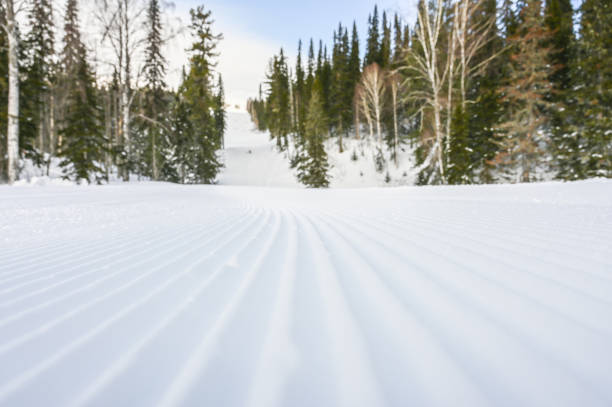스키 런 트레일 스노우캣 - clear sky ski footpath snow 뉴스 사진 이미지