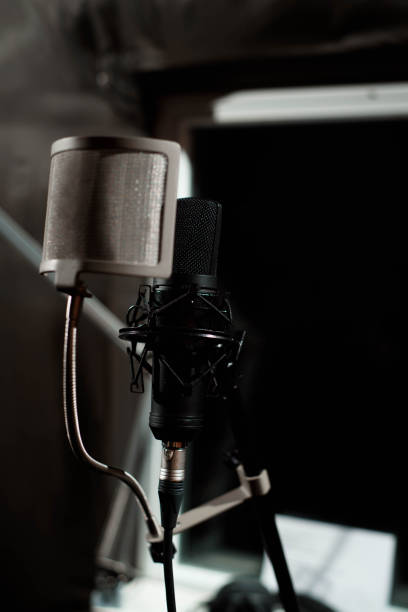 istock Close up studio condenser microphone with pop filter and vibration mount live recording with black background. 1308624325