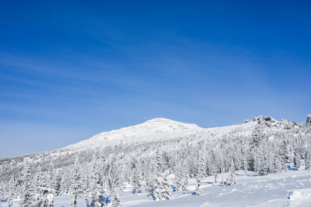 istock snow-covered trees in winter landscape 1308624422