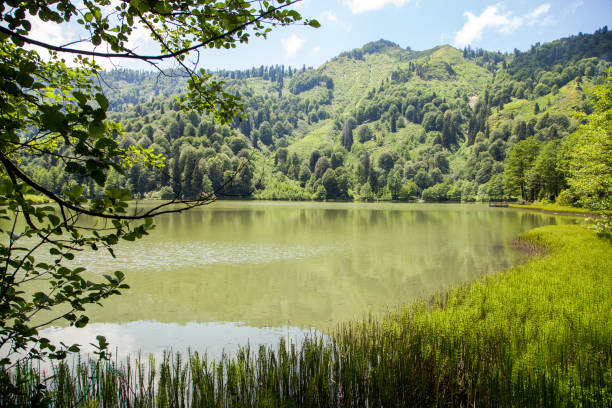 istock Karagol(Black Lake)Lake is in Artvin city. 1308626304