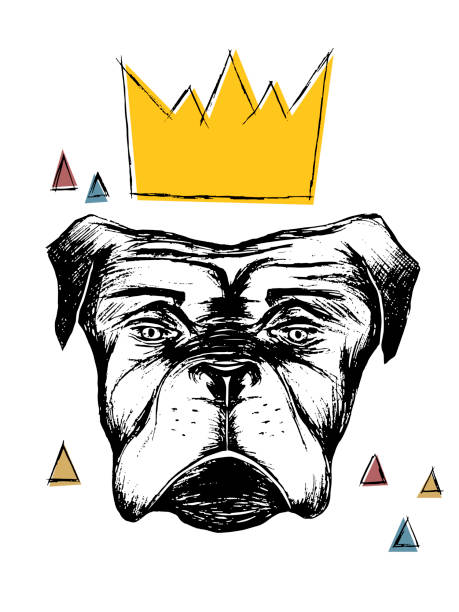 vector illustration of a hand drawn realistic dog with a crown vector art illustration