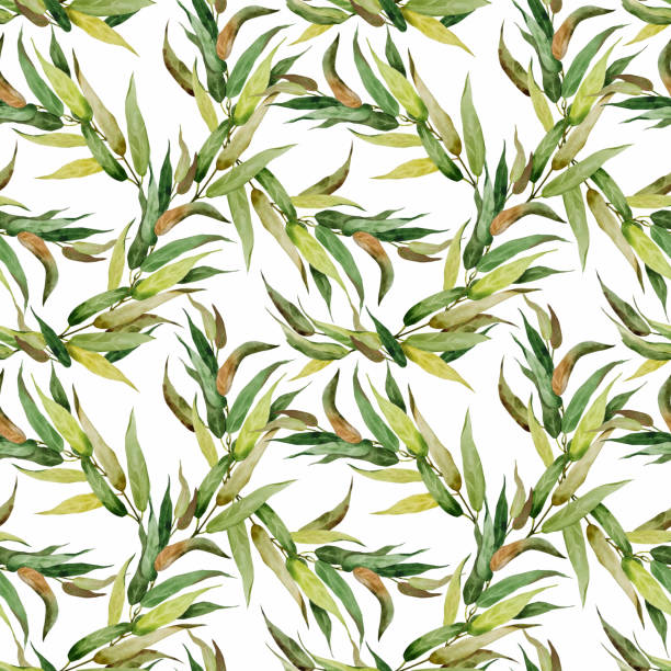 istock Abstract watercolor seamless pattern of branches and long eucalyptus leaves. Hand-painted eucalyptus branches and leaves isolated on a white background. 1308631441