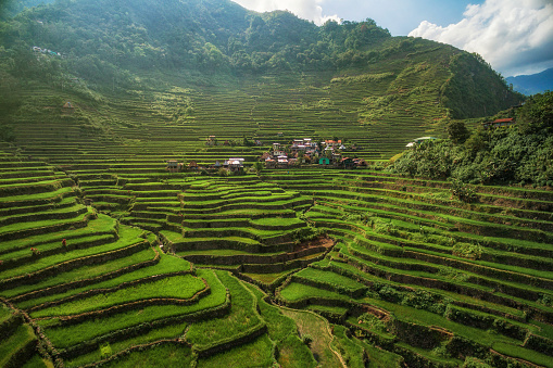Aerial view of Batad rice terraces in northern Luzon, Philippines.