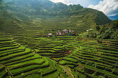 Aerial View of Batad Rice Terraces in Northern Luzon, Philippines