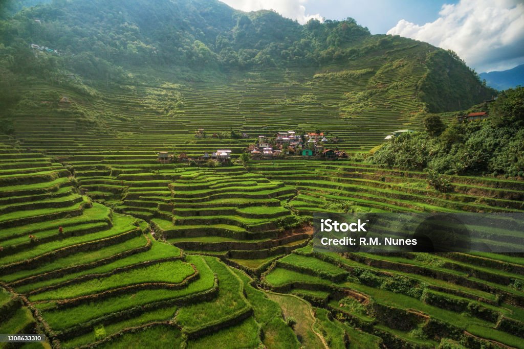 Aerial View of Batad Rice Terraces in Northern Luzon, Philippines Aerial view of Batad rice terraces in northern Luzon, Philippines. Philippines Stock Photo