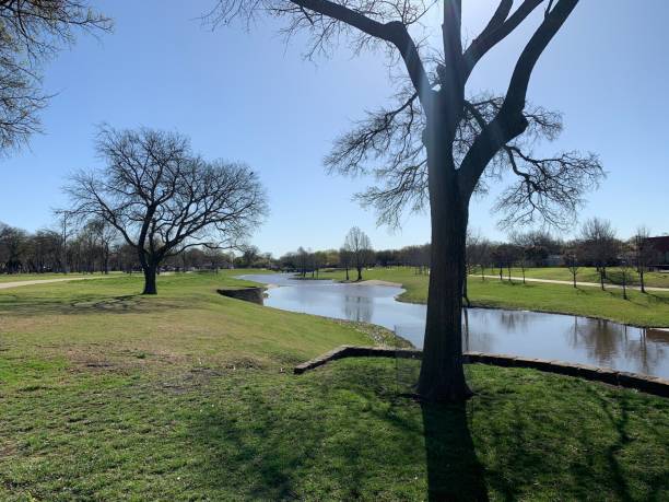 140+ Richardson Texas Photos Stock Photos, Pictures & RoyaltyFree