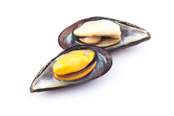 istock Cooked mussels are isolated on a white background. 1308637140