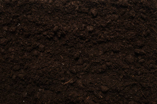 istock Black land for plant background. 1308637902