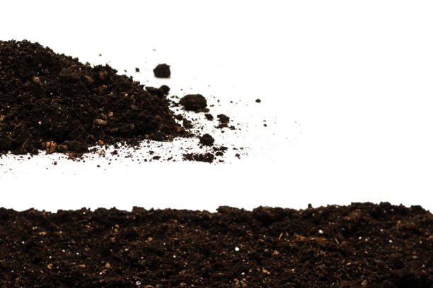 istock Black land for plant. 1308637989