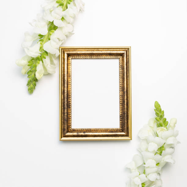 istock Empty photo frame with snapdragon flowers on white background. flat lay, top view, copy space 1308639511
