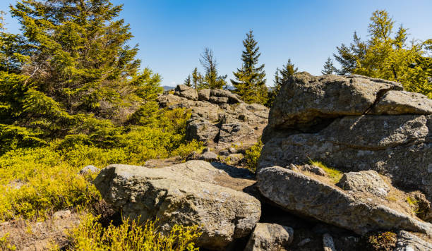 istock Giant rocks next to mountain trail in Jizera mountains 1308641615