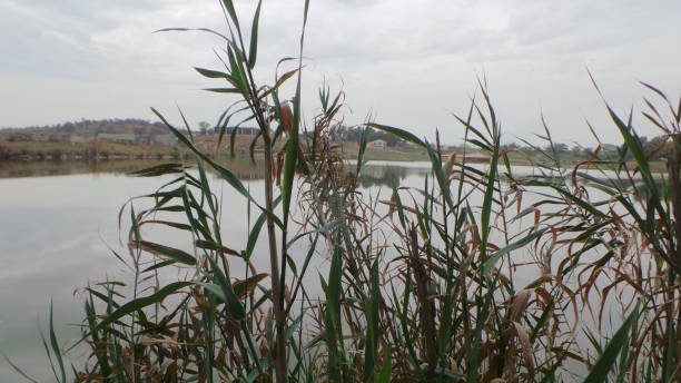 istock Kahil Payin Lake, Haripur 1308642640