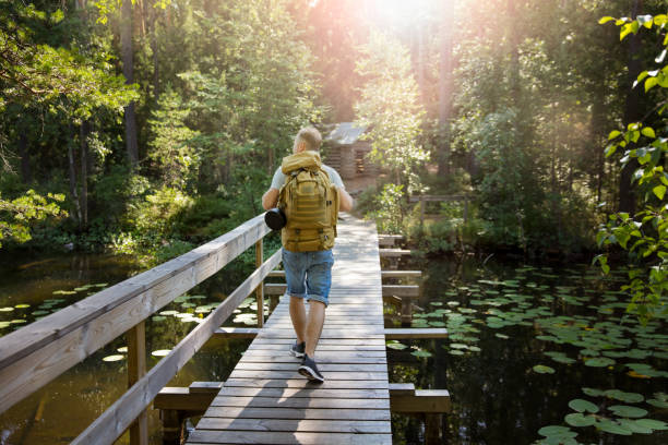 istock Mature man exploring Finnish nature in summer 1308643234