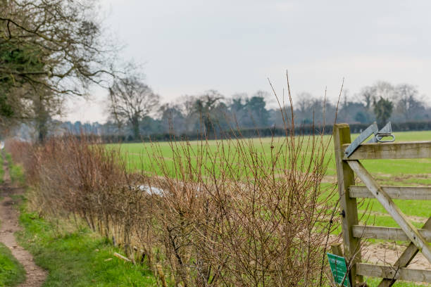istock Wooden gate restricting access to arable field 1308643509