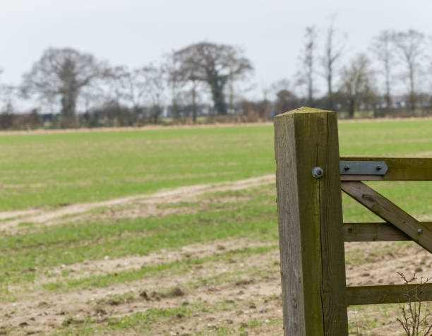 istock Wooden gate securing an arable field in rural Norfolk, UK 1308643729