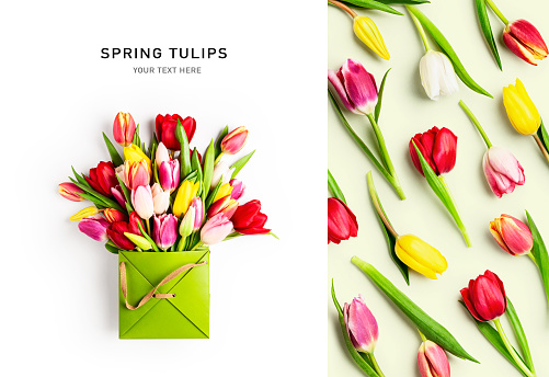 Tulip flowers creative layout and pattern on white and green background. Shopping bag with spring fresh tulips. Springtime, easter and mothers day concept. Design element, flat lay