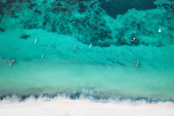 istock Sandy Beach, Zanzibar Island 1308644350