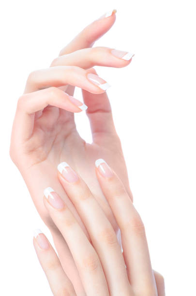 istock Beautiful female hands 1308644748