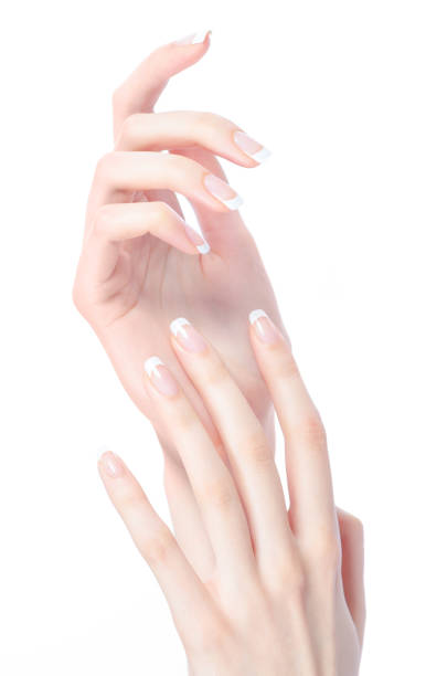 istock Beautiful female hands 1308644750