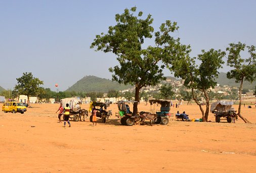 Ghinda Subregion, North Red Sea Region, Eritrea: view of the market square - men +lay soccer and taxi donkey-carts 'drivers' wait in the shade - ጊንዳዕ