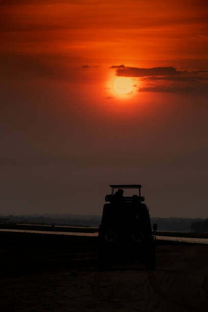 vehículo safari al atardecer en áfrica - cloud morning delta landscape fotografías e imágenes de stock