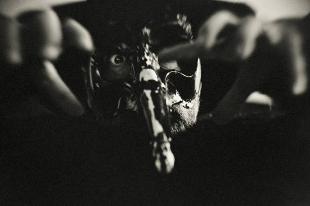 istock The old man with the raven mask 1308651435
