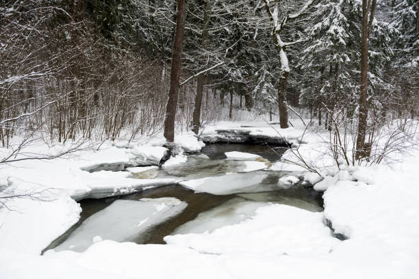 Winter Landscape and Snow. Frozen.