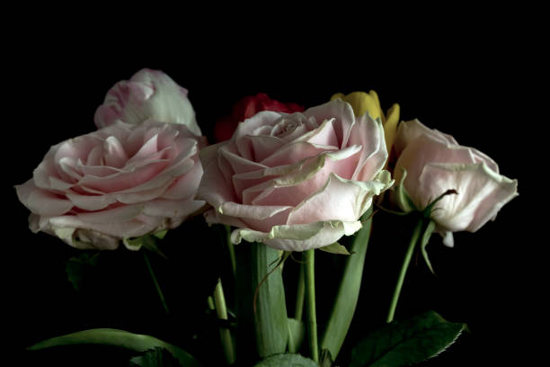 istock Bouquet pink flowers 1308653033