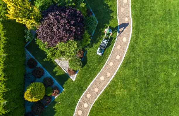 Large Beautiful Residential Backyard Garden Grass Mowing Aerial View. Caucasian Gardener Pushing Electric Cordless Grass Mower and Trimming the Lawn.