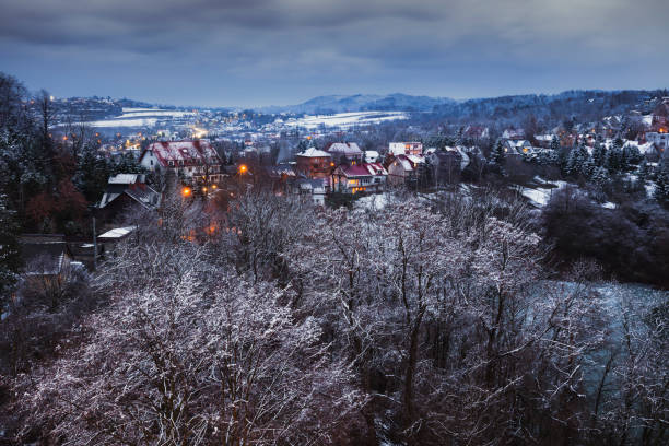 istock Panorama of Dobczyce 1308659120