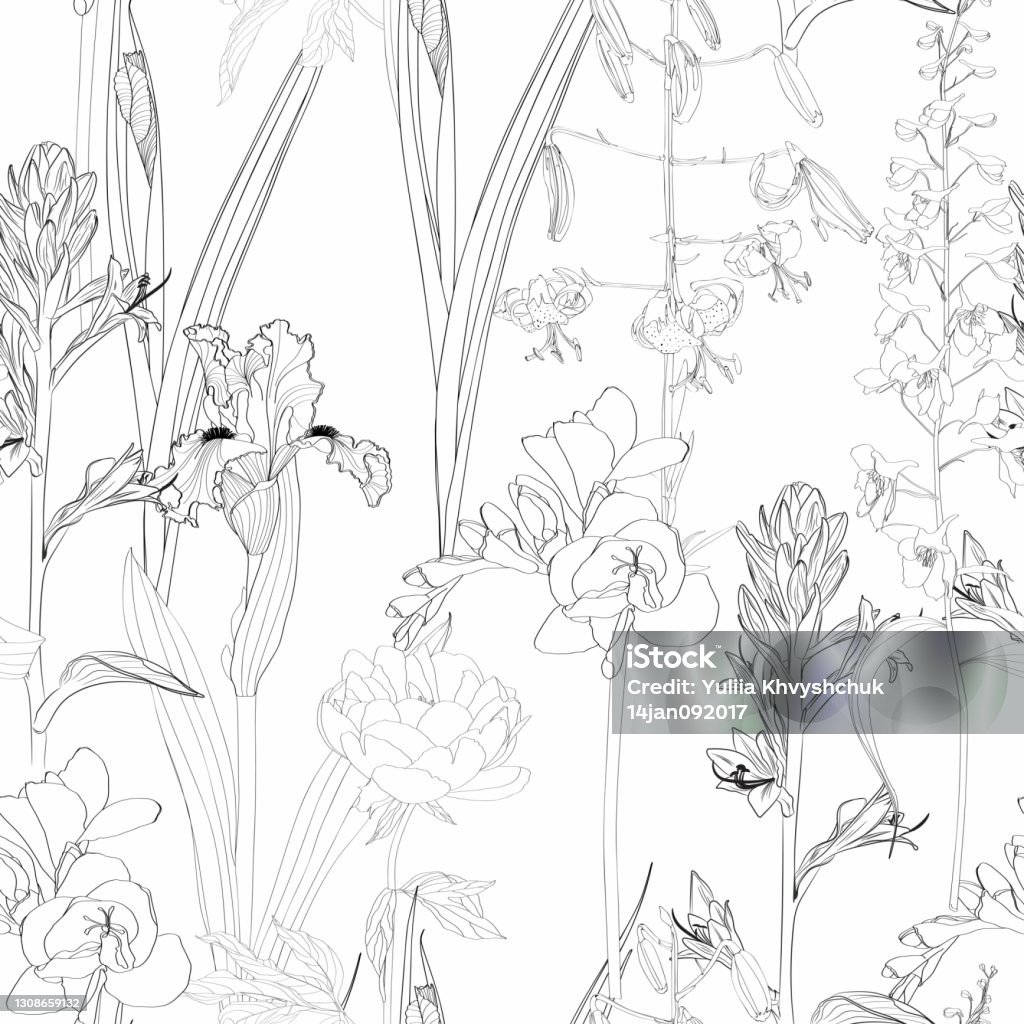 Banyak Jenis Bunga Taman Detail Garis Putih Hitam Sketsa Ilustrasi Stok