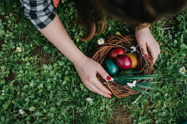 пасхальная корзина с разноцветными яйцами - easter nest стоковые фото и изображения