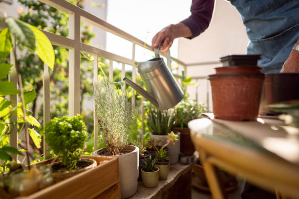 Unrecognizable man watering his potted plants on the home balcony