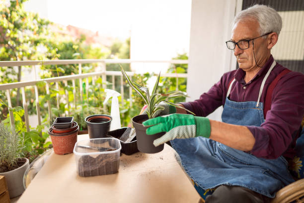 istock My favotite retirement hobby 1308660336