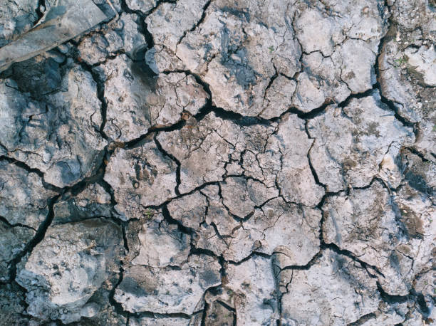 istock High angle shot of cracked soil in ground 1308663027