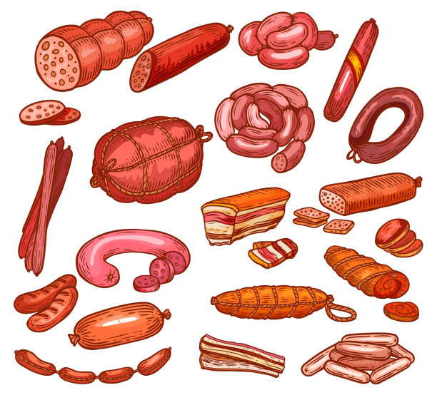 소시지와 고기, 도살장 델리 음식 스케치 - butchers shop butcher meat delicatessen stock illustrations