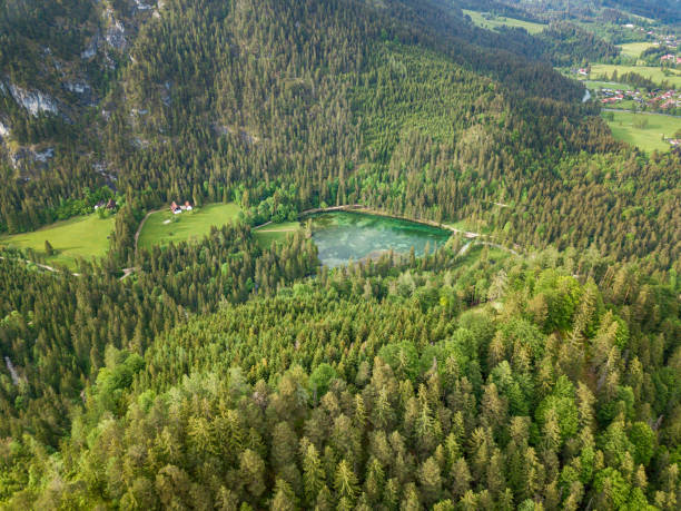istock Famous lake Schiederweiher near Hinterstoder village, Austria 1308673843