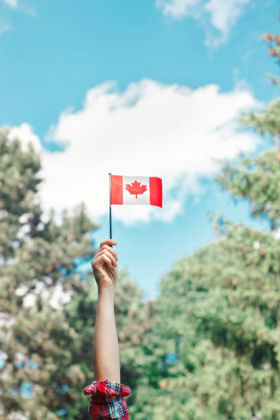 zbliżenie kobiety ludzkiej ręki machając kanadyjską flagą przed błękitnym niebem. dumny obywatel obchodzi narodowy dzień kanady w dniu 1 lipca na świeżym powietrzu. - canadian culture leaf symbol nature zdjęcia i obrazy z banku zdjęć