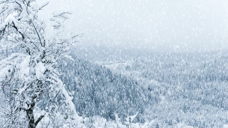 300 Snowflake Zoom Stock Videos and Royalty-Free Footage - iStock - iStock | Snowflake macro 300 Snowflake Zoom Stock Videos and Royalty-Free Footage - iStock - iStock | Snowflake macro