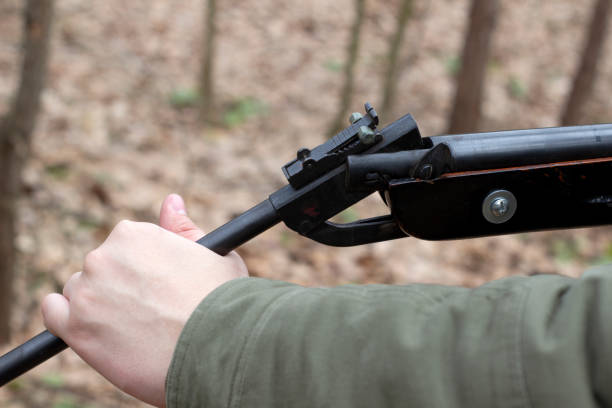 istock Young man shoot with air pneumatic rifle, spring daytime, hands holding gun 1308681539