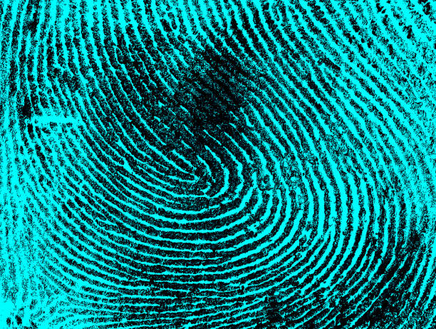 istock Index fingerprint with ultraviolet lamp, as a background. 1308681590