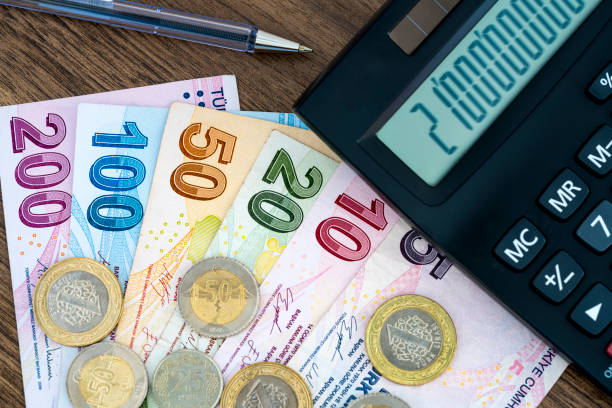 istock Turkish banknotes and coins. Turkish lira 1308682926