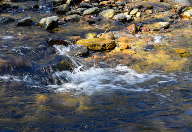 istock water cascading over rocks in a state forest 1308683736