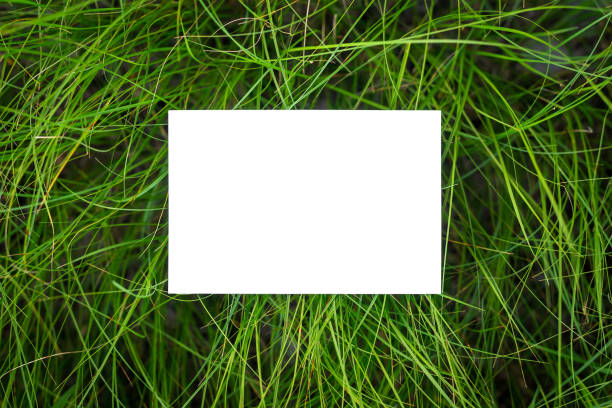 White isolater paper on green colorful grass