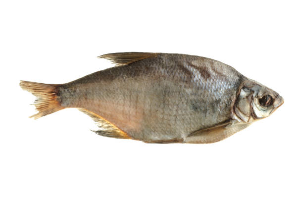 istock Fish, dried bream, on a white background in isolation 1308688863