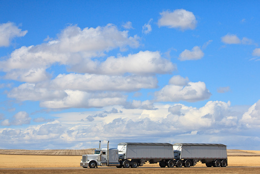 An 18-wheeler or semi-truck driving through the great plains in spring. Gold fields before seeding and beautiful blue sky specked with white cumulus clouds add to the scene. Trucking, hauling, and transportation theme.