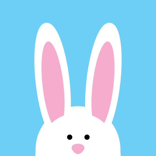 Cute Bunny face Icon Vector illustration of a cute white bunny face peeking out of a blue square bakground. peeking stock illustrations