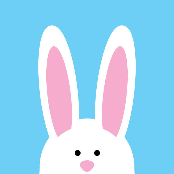 Cute Bunny face Icon Vector illustration of a cute white bunny face peeking out of a blue square bakground. bunny ear stock illustrations
